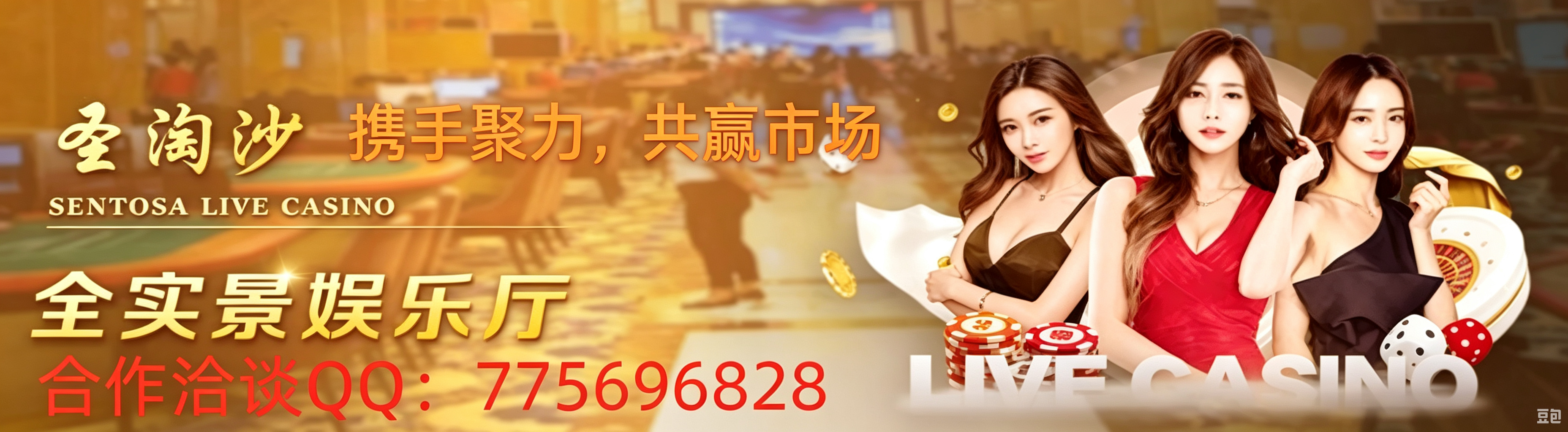 圣淘沙公司市场推广规划加Q775696828